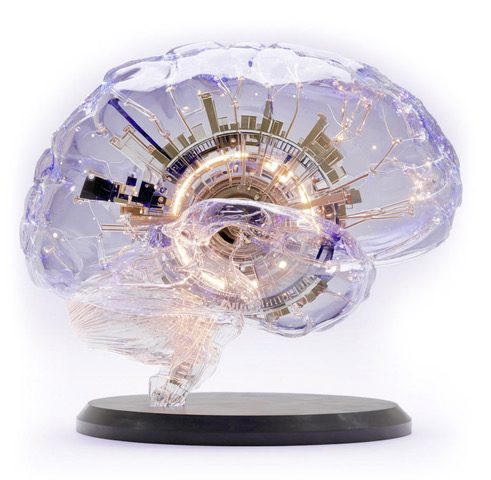 Transparent glass brain with illuminated circuits, representing AI memory